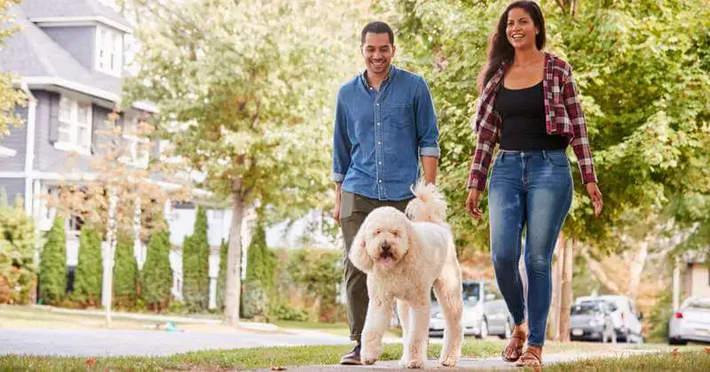 The Right Neighbourhood